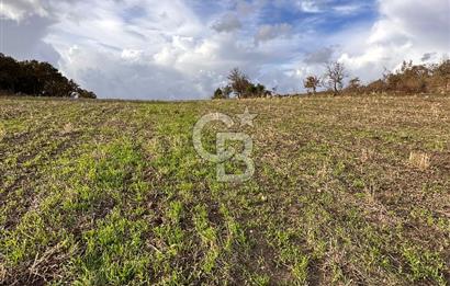 ÇANAKKALE YUKARIOKÇULAR KÖYÜNDE DENİZ MANZARALI TARLA