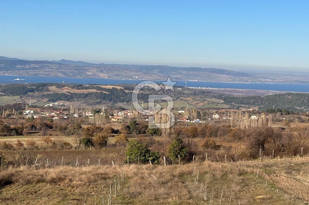 ÇANAKKALE MERKEZ YUKARIOKÇULAR KÖYÜNDE SATILIK TARLA