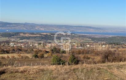 ÇANAKKALE MERKEZ YUKARIOKÇULAR KÖYÜNDE SATILIK TARLA