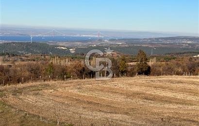 ÇANAKKALE MERKEZ YUKARIOKÇULAR KÖYÜNDE SATILIK TARLA