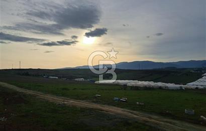 Yalova Çiftlikköy Site İçi Doğa Manzaralı 3+1 Satılık Daire