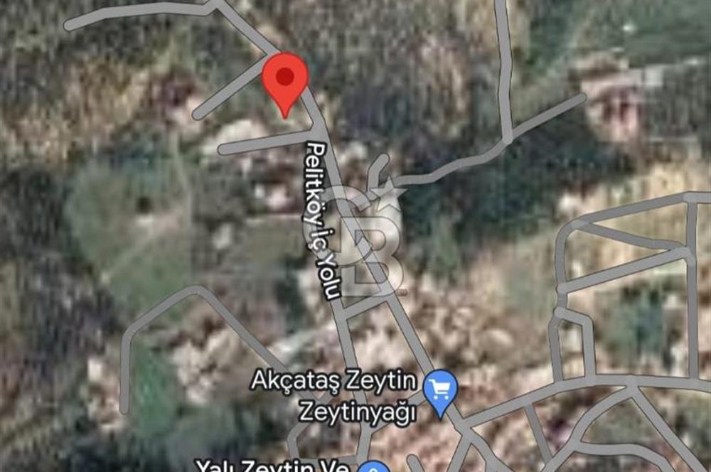 Pelitköy Anayol Cepheli İmar'a Sınır 346 M2 Zeytinlik