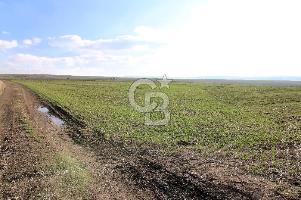 SİNCAN TEMELLİ ÜCRET MAHALLESİ 10.452 M2 TEK TAPU SATILIK TARLA