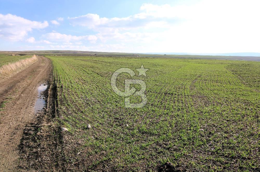 SİNCAN TEMELLİ ÜCRET MAHALLESİ 10.452 M2 TEK TAPU SATILIK TARLA