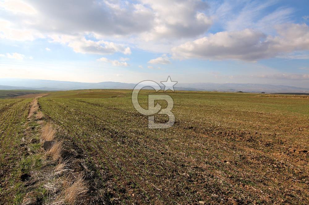 SİNCAN TEMELLİ ÜCRET MAHALLESİ 10.452 M2 TEK TAPU SATILIK TARLA