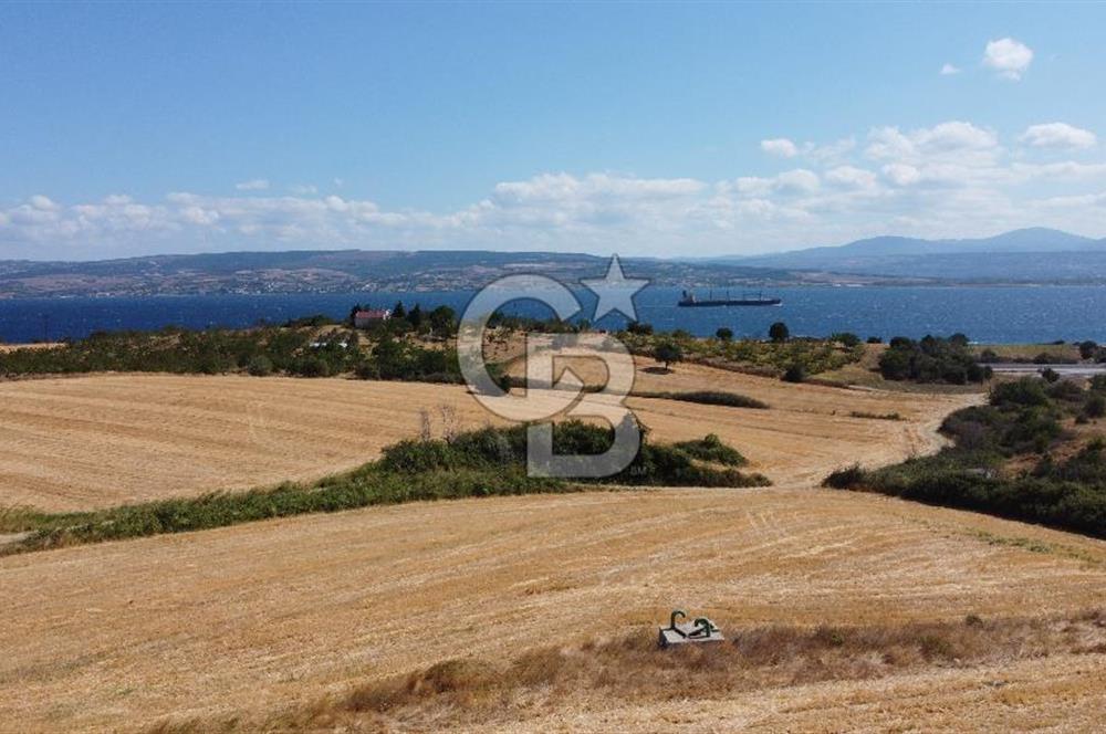 Gelibolu Burhanlı da Yatırıma Uygun Deniz Manzaralı Satılık İmarlı Projeli Arsa