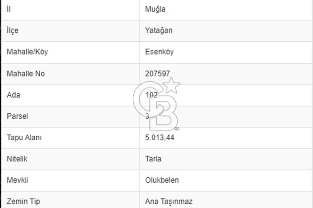 Esenköy De İçinde Su tesisi Yapmaya Uygun Su Kaynağı Olan Tarla