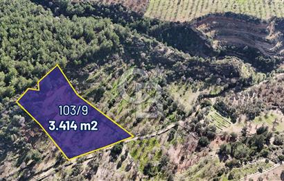 3.414 m2 Field Close to the Village Settlement in Datça Sındı