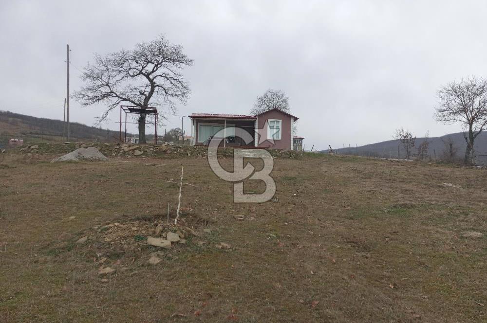 Samsun-Kavak-Çakallı, Marjinal Tarım Arazi Belgeli Köy içi Arazi