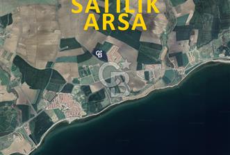 Tekirdağ Şarköy'de Deniz Manzaralı Hisseli Tarla