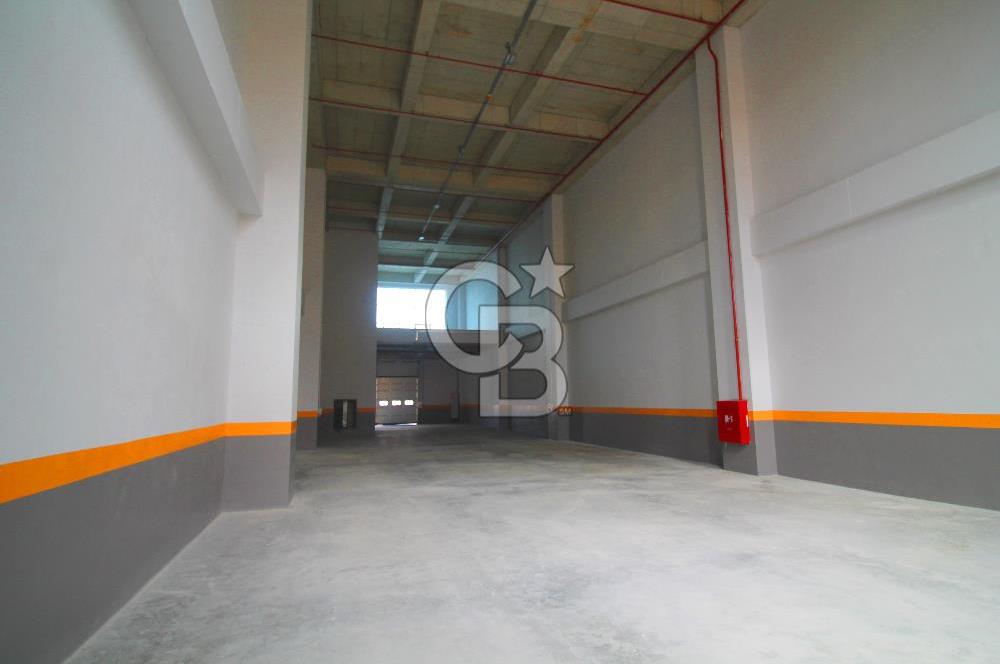 Esenyurt 567 m² H:11,50 Düz Giriş Taşınmaya Hazır Fabrika