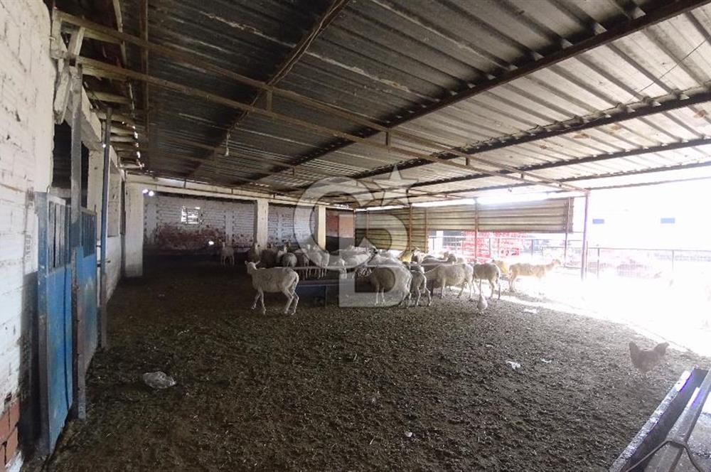 İzmir Menemen Süzbeyli Muhteşem Konum &Donanımlı Kiralık Çiftlik