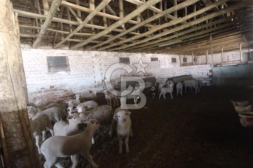 İzmir Menemen Süzbeyli Muhteşem Konum &Donanımlı Kiralık Çiftlik