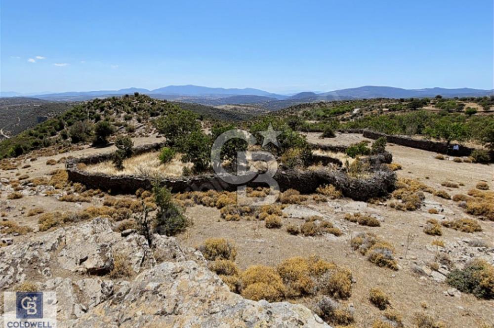 Yuntdağı Yenice Mahallesin'de Yatırımlık Tarla