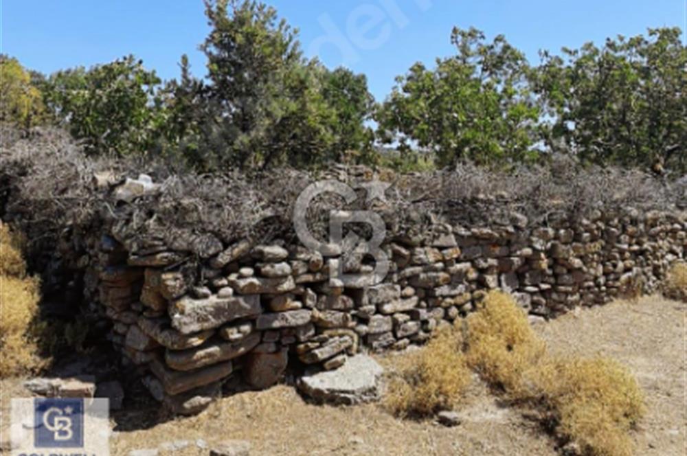 Yuntdağı Yenice Mahallesin'de Yatırımlık Tarla