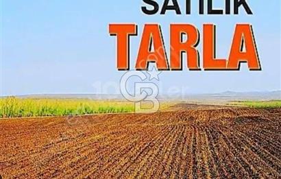 Gölbaşı Boyalık Tek Tapu 75 Dönüm Satılık Tarla