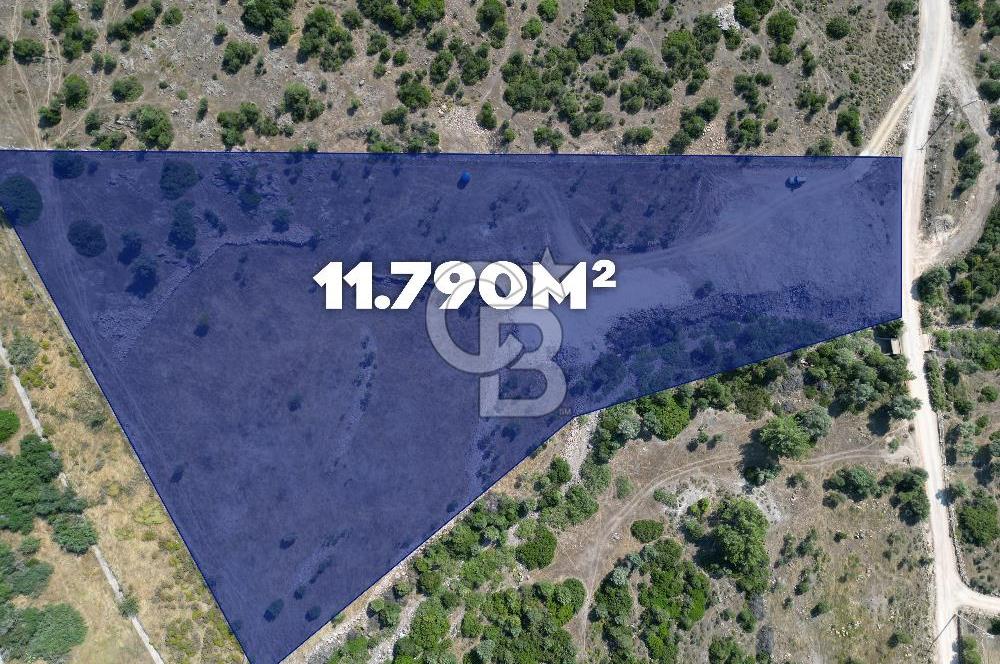 TEOK'tan Urla'da Harika Konumlu 11.790m2 Satılık Tarla