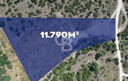 TEOK'tan Urla'da Harika Konumlu 11.790m2 Satılık Tarla