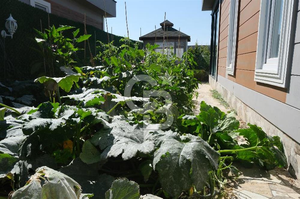 YAŞAMKÖY DOSTLAR SİTESİ'NDE BAHÇELİ,VERANDALI,ÖZELŞÖMİNELİ VİLLA