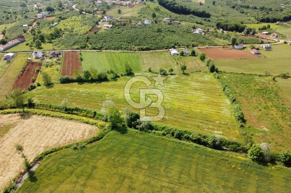 Kocaeli Kandıra Karaağaç Satılık Tarla