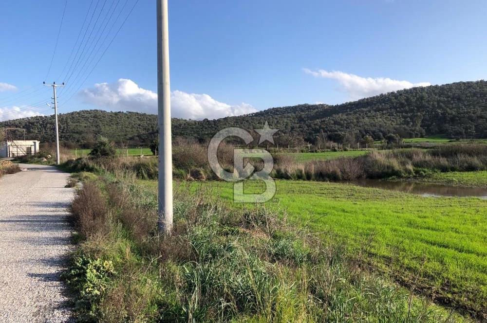 Bodrum Tepecik - Yatırımcılara Özel Ana Yol Üzeri Tarla