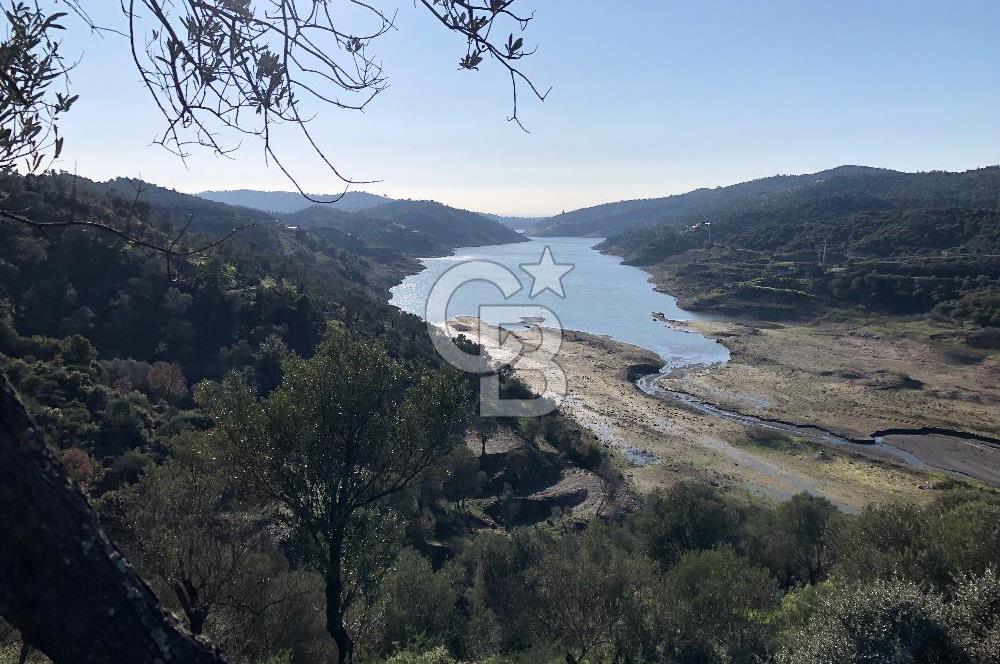 Seferihisar Beyler Köyünde Muhteşem Konumda Zeytinlik