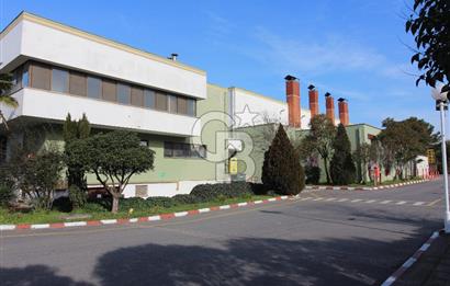 İstanbul, Tuzla, E5 cepheli  7730 m² Kiralık Fabrika 