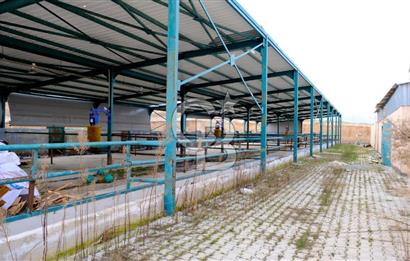 Eskişehir Beylikova Besi OSB ' de Satılık Çiftlik