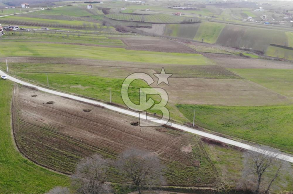 Sakarya Kaynarca Kırktepe De 6672 m2 Yola Cepheli Satılık Arazi