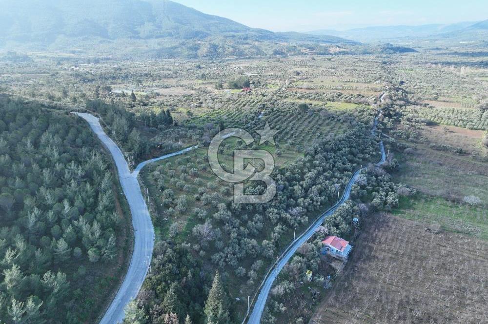 Köy İmarı Sınırında Yatırımlık 27.840m² Mükemmel Arazi