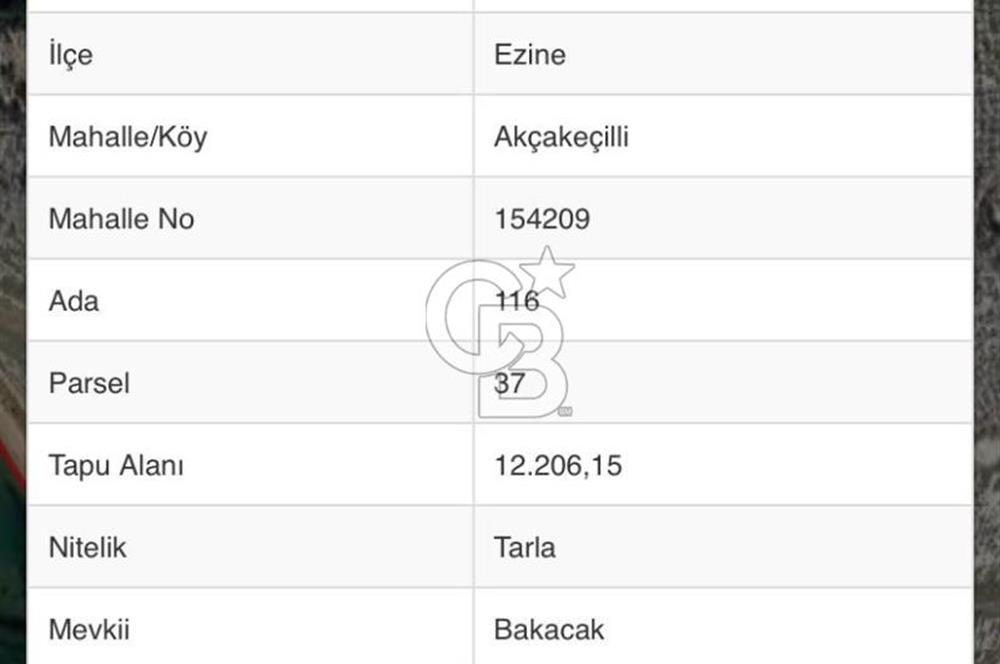 CB NOVO'DAN EZİNE'DE DENİZE 125 M TURİZM İMARLI ARSA