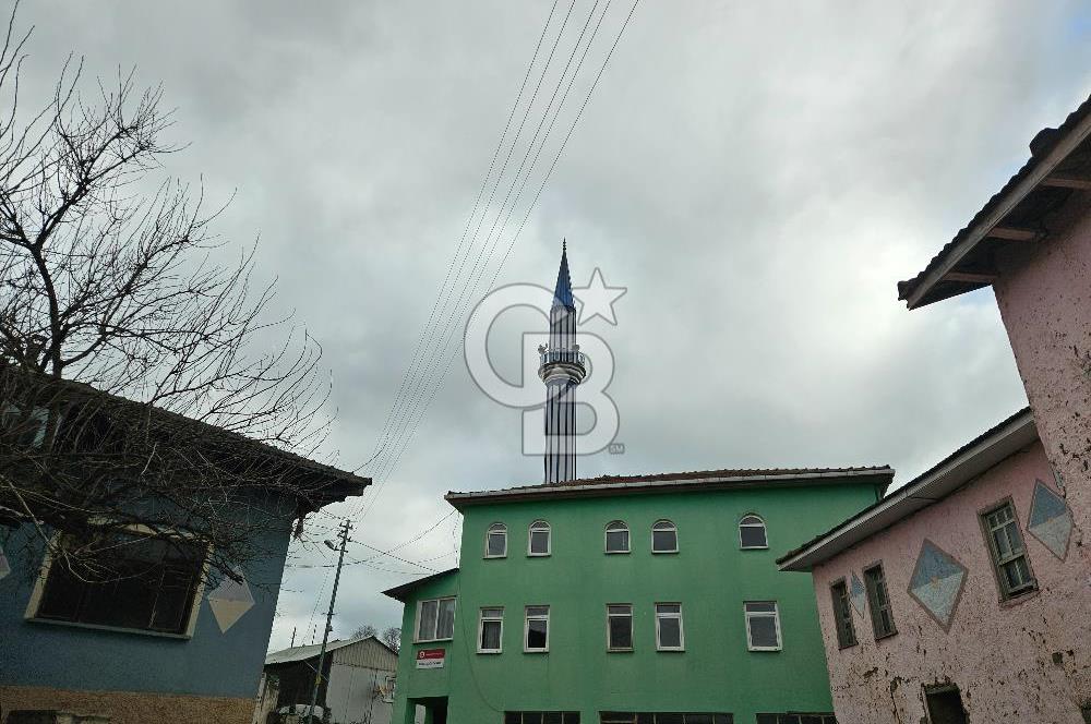 Bilecik Osmaneli Borcak Köyü Satılık Tarla