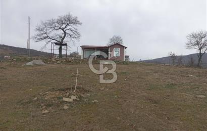 Kavak-Çakallı'da 9.191m2 Arsa İçerisinde Köyiçinde 48m2 Sıfır Ev