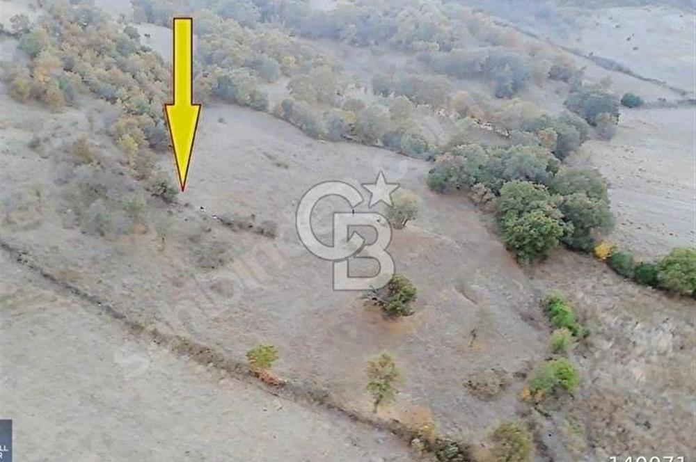 ÇANAKKALE MERKEZ DE SERÇİLER KÖYÜ SATILIK HESAPLI 13.000m2 TARLA