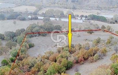 ÇANAKKALE MERKEZ DE SERÇİLER KÖYÜ SATILIK HESAPLI 13.000m2 TARLA