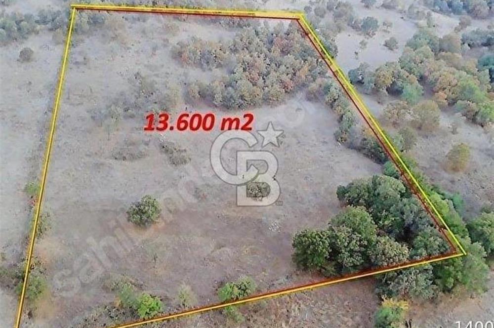 ÇANAKKALE MERKEZ DE SERÇİLER KÖYÜ SATILIK HESAPLI 13.000m2 TARLA