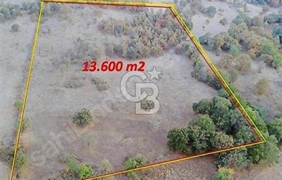 ÇANAKKALE MERKEZ DE SERÇİLER KÖYÜ SATILIK HESAPLI 13.000m2 TARLA