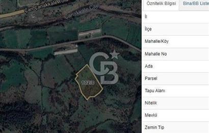 ÇANAKKALE MERKEZ SERÇİLER KÖYÜ ÇAN YOLUNA YAKIN 13 DÖNÜM TARLA  Satılık Tarla  | 13608 m²