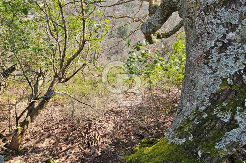 ÇANAKKALE YENİCE KARASUÇAM SATILIK TARLA