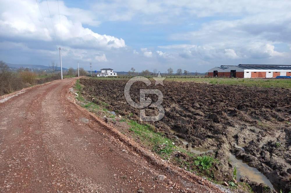 KAFA DİNLEMEK İÇİN KAÇACAK YER ARIYORSAN DOĞRU İLANA BAKIYORSUN