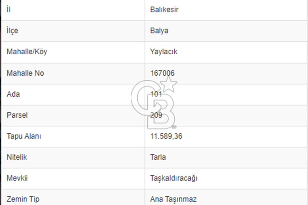 CB NOVO'DAN BALIKESİR BALYA YAYLACIK KÖYÜ 11.589M2 SATILIK TARLA