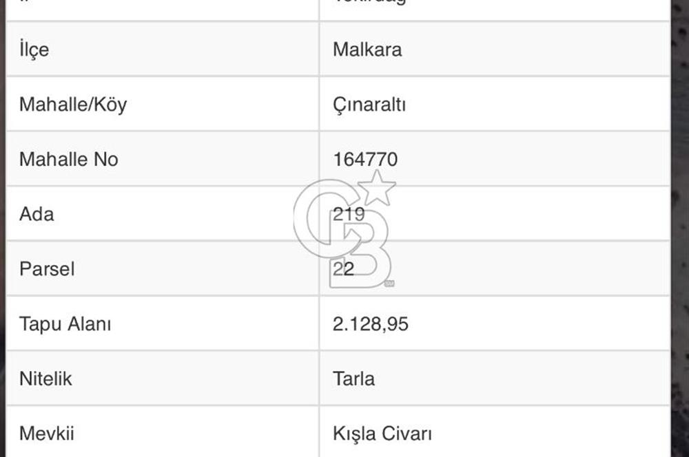 TEKİRDAĞ MALKARA’DA SATILIK TARLA HİSSESİ 199,59 m