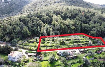 Marmaris Söğüt Bahçelide Kiralık 3.000 m2 Yola Cepheli Tarla