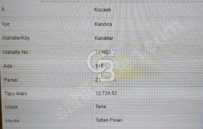 KOCAELİ KANDIRADA 12.724 M2 SATILIK TARLA