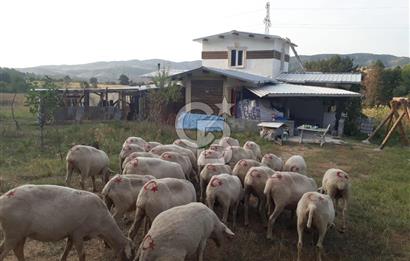 Bilecik Gölpazarı Kümbet'te Satılık Asfalta Cephe Çiftlik Evi