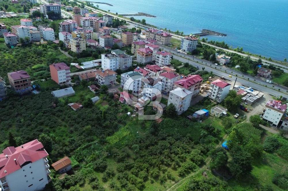 Trabzon Vakfıkebir'de 3.700m2, Konut+Ticari İmarlı, Satılık Arsa