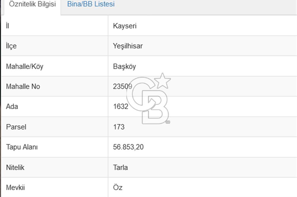 KAYSERİ YEŞİLHİSAR BAŞKÖY'DE ANAYOL ÜZERİNDE 56 DÖNÜM TARLA