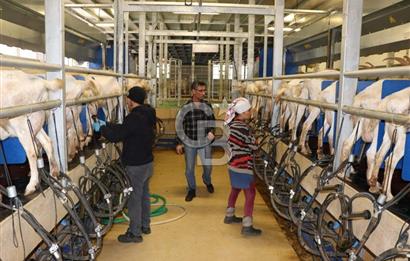 Keçi Çiftliği ve Keçi Süt ve Süt Ürünleri İşletmesi Satılıktır