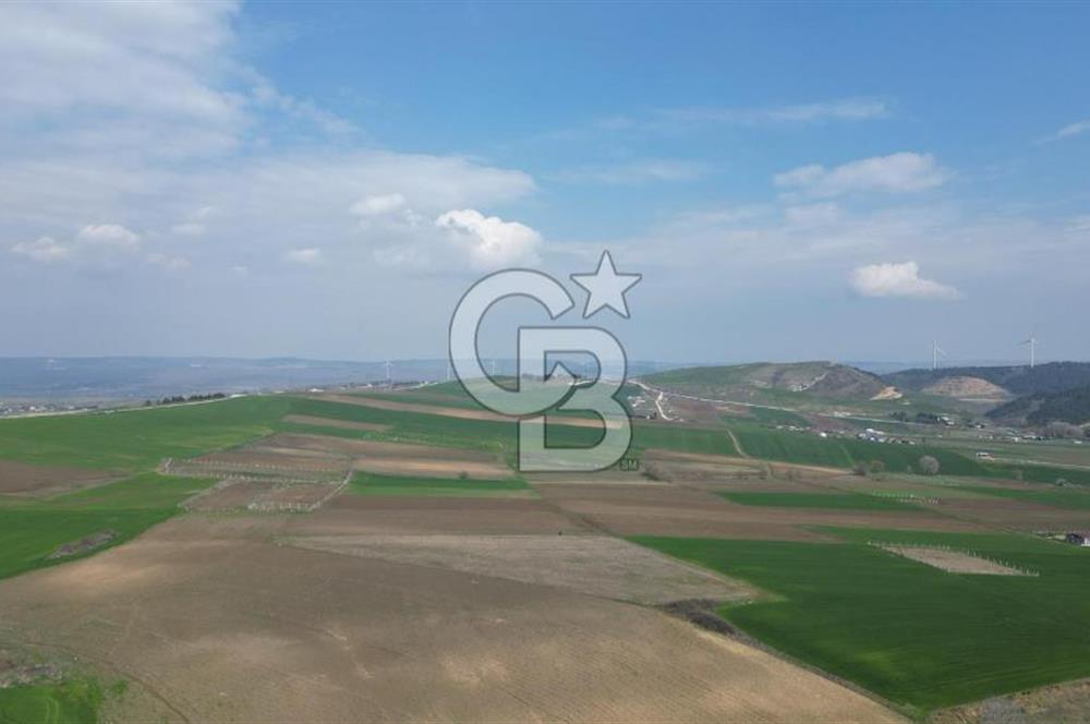 ÇATALCA ELBASAN SATILIK 790m² ARSALAR