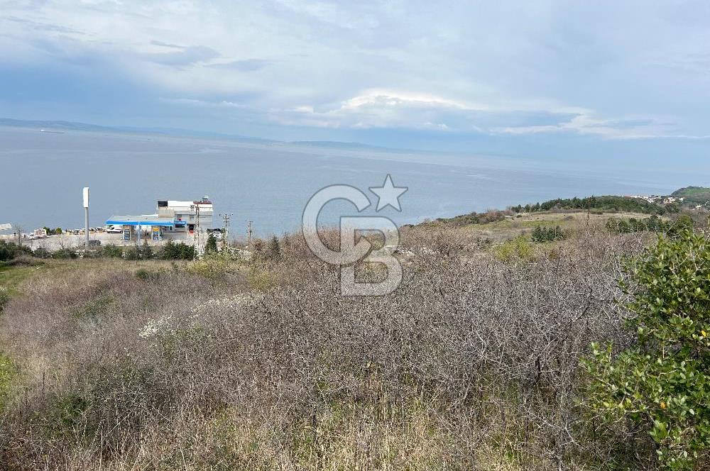 ÇANAKKALE LAPSEKİ ŞEVKETİYE KÖYÜ DENİZ MANZARALI SATILIK TARLA